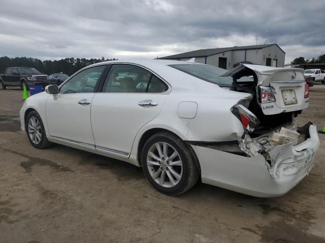 2010 Lexus ES 350