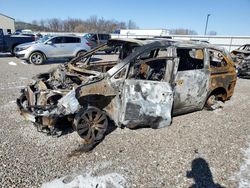 Salvage cars for sale at Lawrenceburg, KY auction: 2010 Honda Odyssey EXL