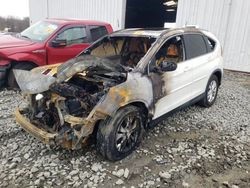 Salvage cars for sale at Windsor, NJ auction: 2013 Honda CR-V EXL