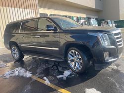 2020 Cadillac Escalade ESV Luxury en venta en North Billerica, MA