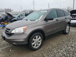 Honda crv salvage cars for sale: 2011 Honda CR-V SE