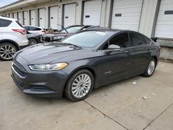 2016 Ford Fusion SE Hybrid en venta en Louisville, KY