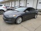 2016 Ford Fusion SE Hybrid