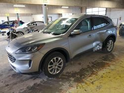 Salvage cars for sale at Indianapolis, IN auction: 2021 Ford Escape SE