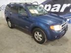 2008 Ford Escape XLT