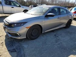 Salvage cars for sale at Waldorf, MD auction: 2019 Honda Civic LX