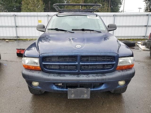 2002 Dodge Dakota Quad Sport