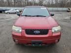 2005 Ford Escape Limited