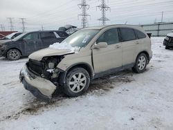 Salvage cars for sale at Elgin, IL auction: 2009 Honda CR-V EXL