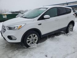 Salvage cars for sale at Wayland, MI auction: 2017 Ford Escape SE