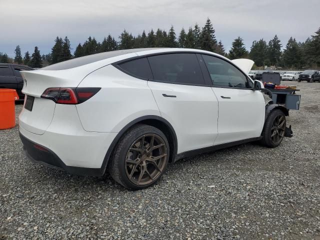 2020 Tesla Model Y