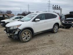 Salvage cars for sale at Columbus, OH auction: 2013 Honda CR-V EXL