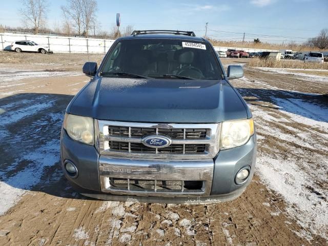 2011 Ford Escape Limited