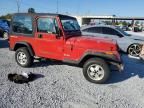 1994 Jeep Wrangler / YJ S