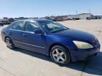 2005 Honda Accord EX