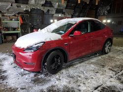 Salvage cars for sale at Albany, NY auction: 2023 Tesla Model Y