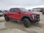 2024 Ford F150 Raptor