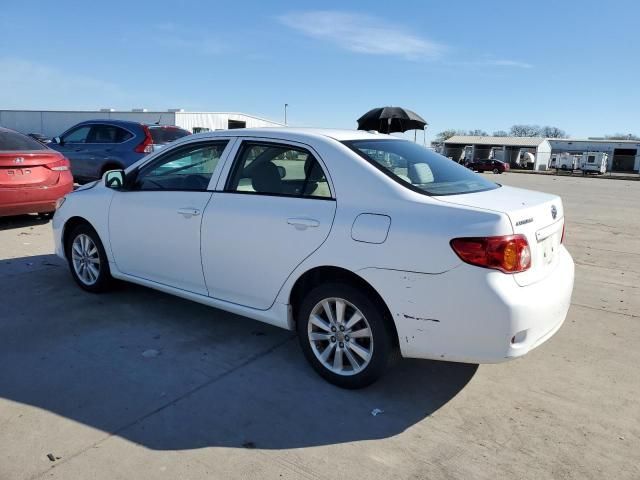 2010 Toyota Corolla Base