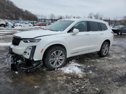 Salvage cars for sale at Marlboro, NY auction: 2024 Cadillac XT6 Premium Luxury