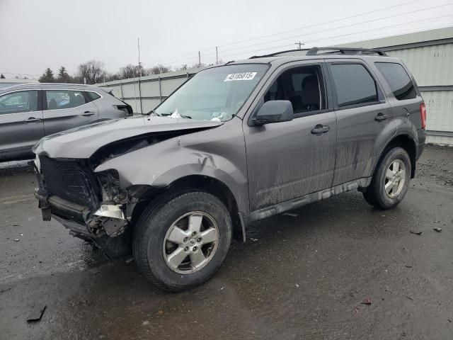 2010 Ford Escape XLS