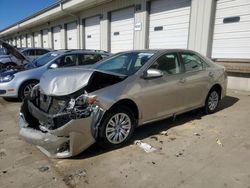 Salvage cars for sale at Louisville, KY auction: 2013 Toyota Camry L