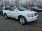 2006 Toyota Highlander Hybrid