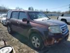 2009 Honda Pilot EXL