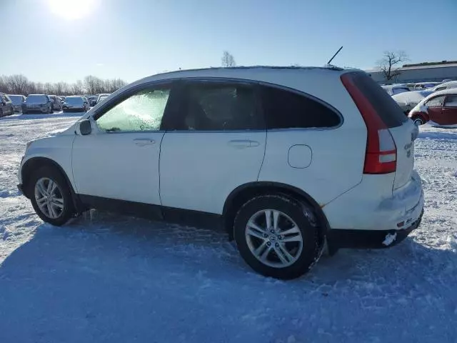 2010 Honda CR-V EXL