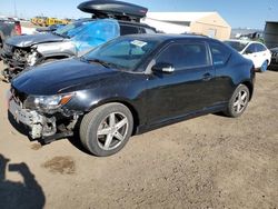 Salvage cars for sale at Brighton, CO auction: 2012 Scion TC