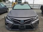 2019 Toyota Camry Hybrid