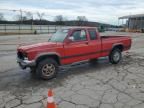 1995 Dodge Dakota