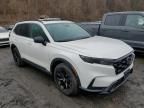 2024 Honda CR-V Sport