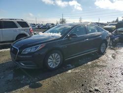 Hyundai Vehiculos salvage en venta: 2016 Hyundai Sonata Hybrid