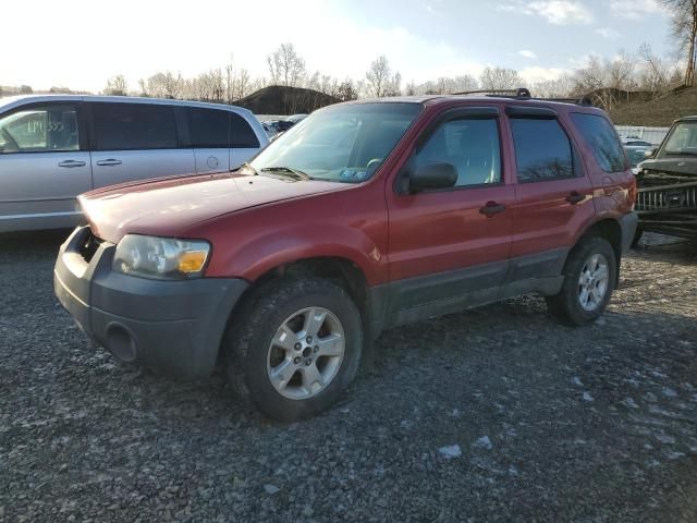 2005 Ford Escape XLT