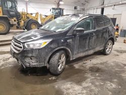 Salvage cars for sale at Center Rutland, VT auction: 2018 Ford Escape SE