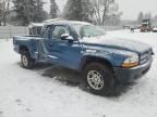 2003 Dodge Dakota SXT