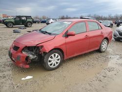 Salvage cars for sale at auction: 2010 Toyota Corolla Base