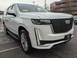 Salvage cars for sale at North Billerica, MA auction: 2021 Cadillac Escalade ESV Premium Luxury