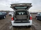 2009 Ford Escape XLS