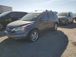 Salvage cars for sale at Tucson, AZ auction: 2010 Honda CR-V EXL