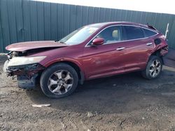 Salvage cars for sale at Finksburg, MD auction: 2010 Honda Accord Crosstour EXL