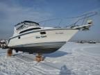 1991 Bayliner 20FT Boat