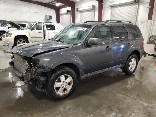 2009 Ford Escape XLT