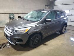 Ford Escape se salvage cars for sale: 2017 Ford Escape SE