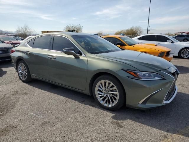 2020 Lexus ES 300H Luxury