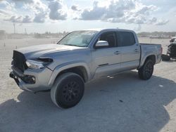 Salvage cars for sale at Arcadia, FL auction: 2021 Toyota Tacoma Double Cab