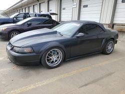 Salvage cars for sale at Louisville, KY auction: 2002 Ford Mustang