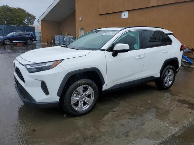 2022 Toyota Rav4 XLE