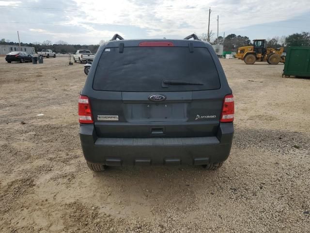 2010 Ford Escape Hybrid