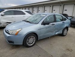 Salvage cars for sale from Copart Louisville, KY: 2009 Ford Focus SE